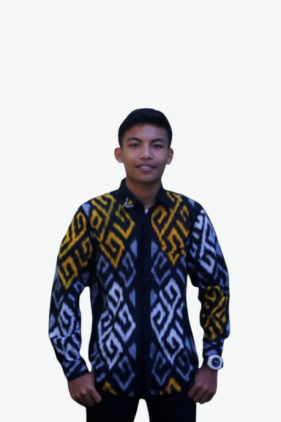Developer